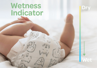 Clear+Dry® Natural Disposable Diapers Jumbo Box